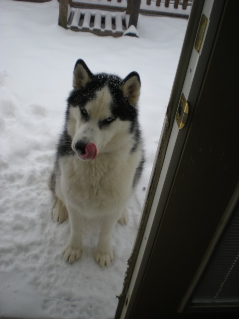 DSCN0851.jpg