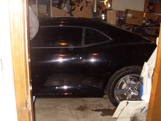 SDC11490.JPG